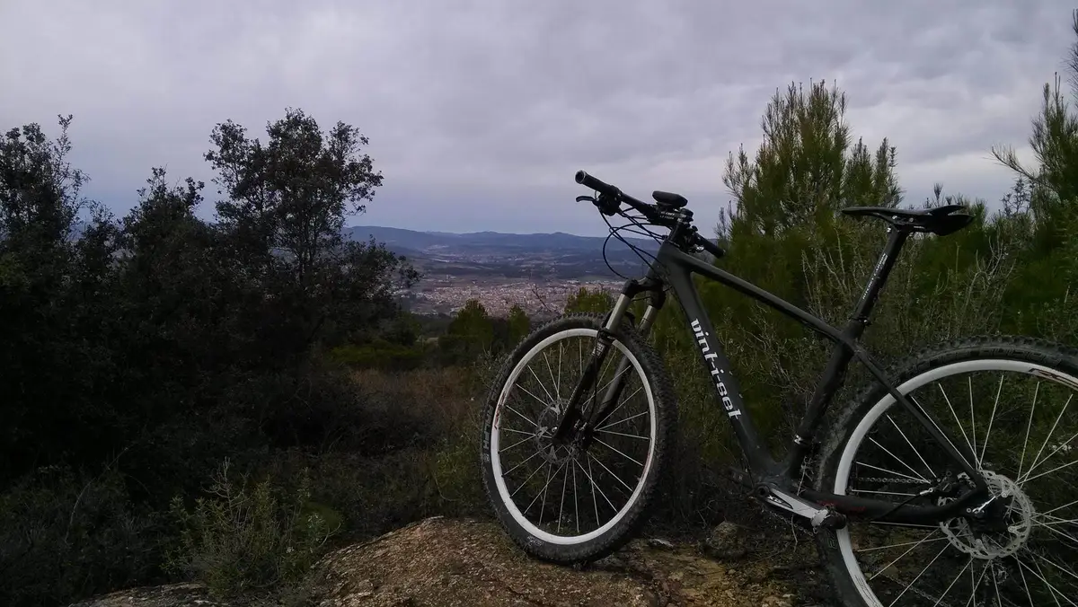 Carbon hardtail (frame from China) — Own build