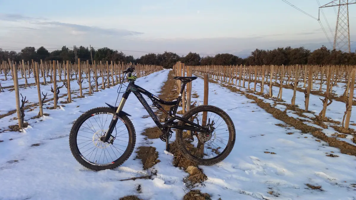 Santa Cruz Butcher — Enduro / DH